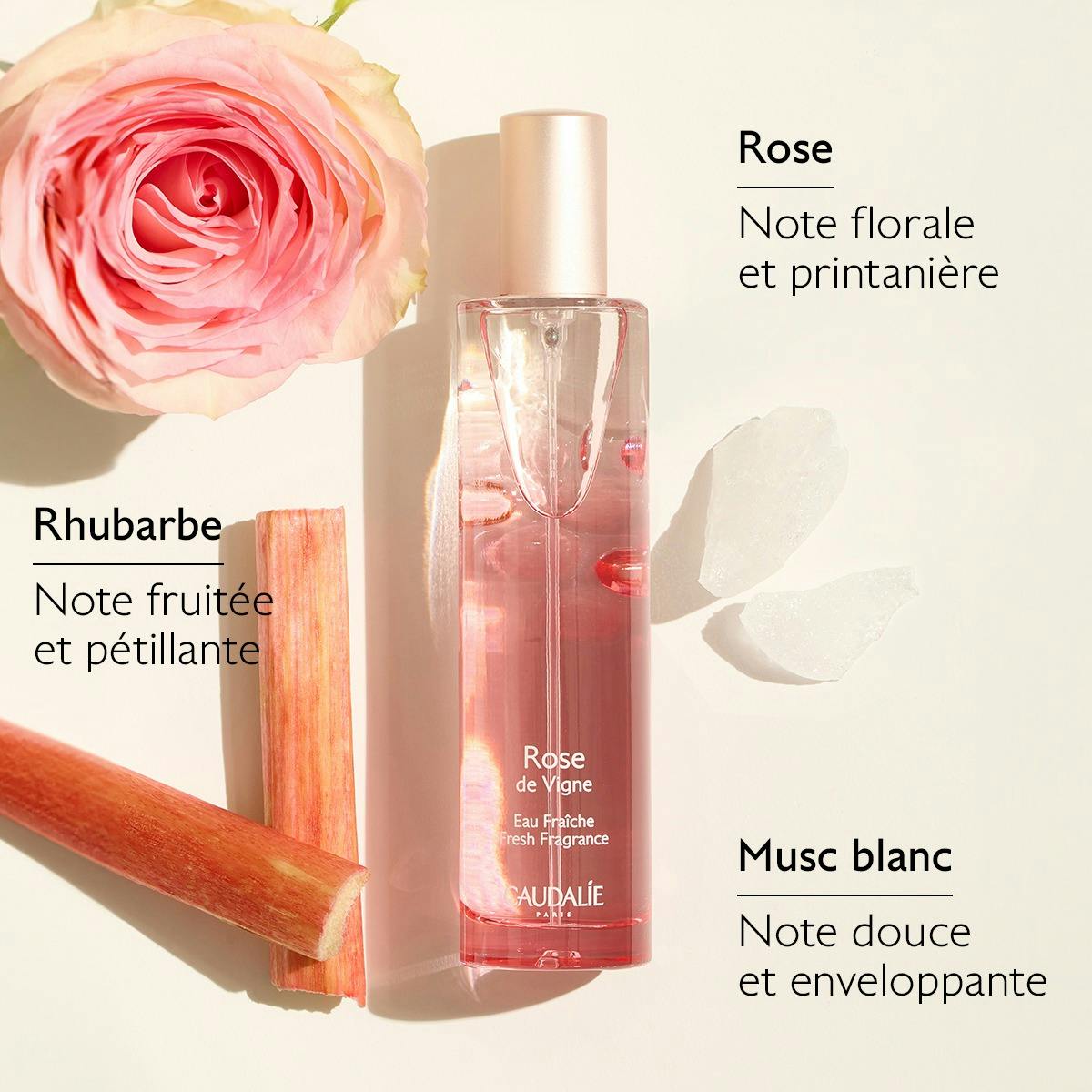 Eau Fraîche Rose de Vigne 50 mL