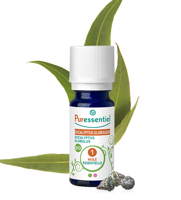 PURESSENTIEL HUILE ESSENTIELLE EUCALYPTUS GLOBULEUX BIO 10ML