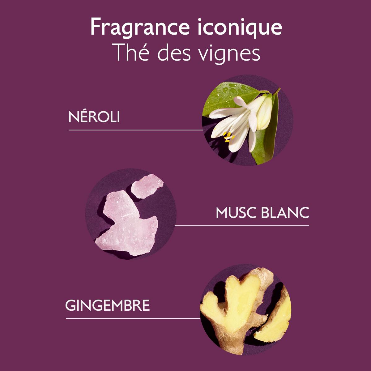 Shampooing Soin Douceur 200 mL