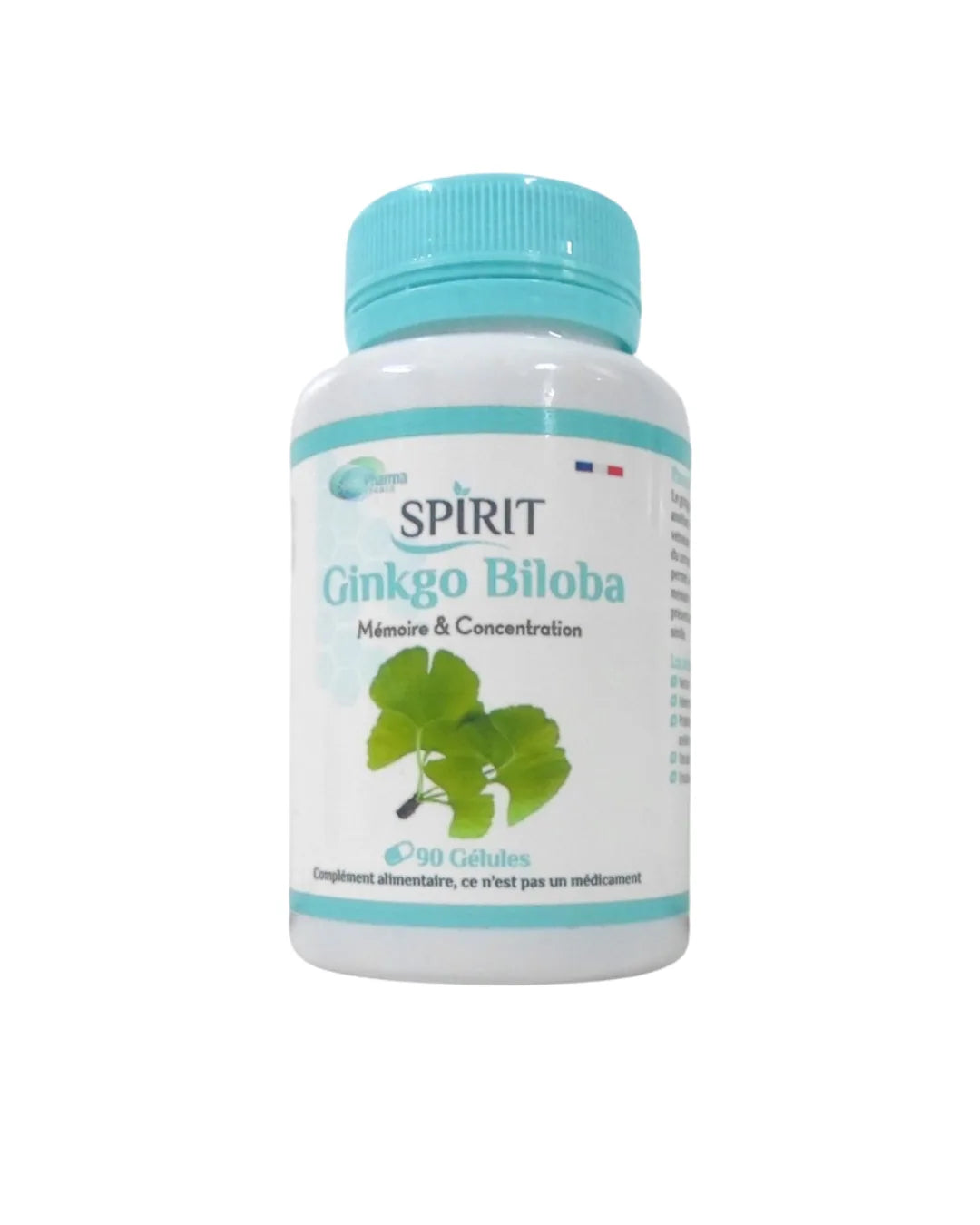 SPIRIT GINKGO BILOBA 90GEL