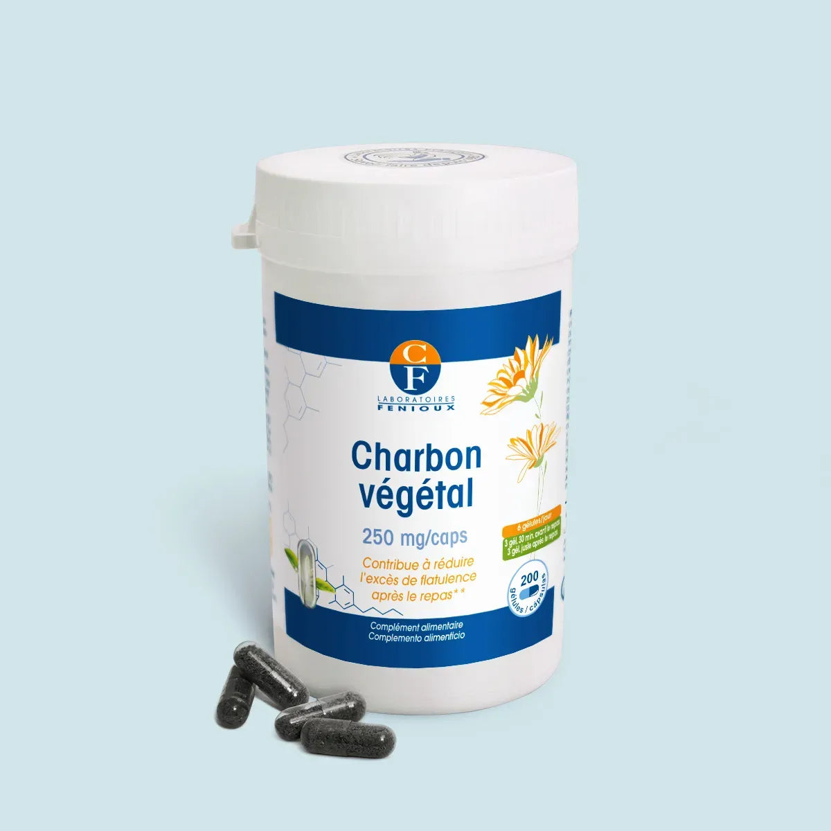 FENIOUX CHARBON VEGETAL 250mg