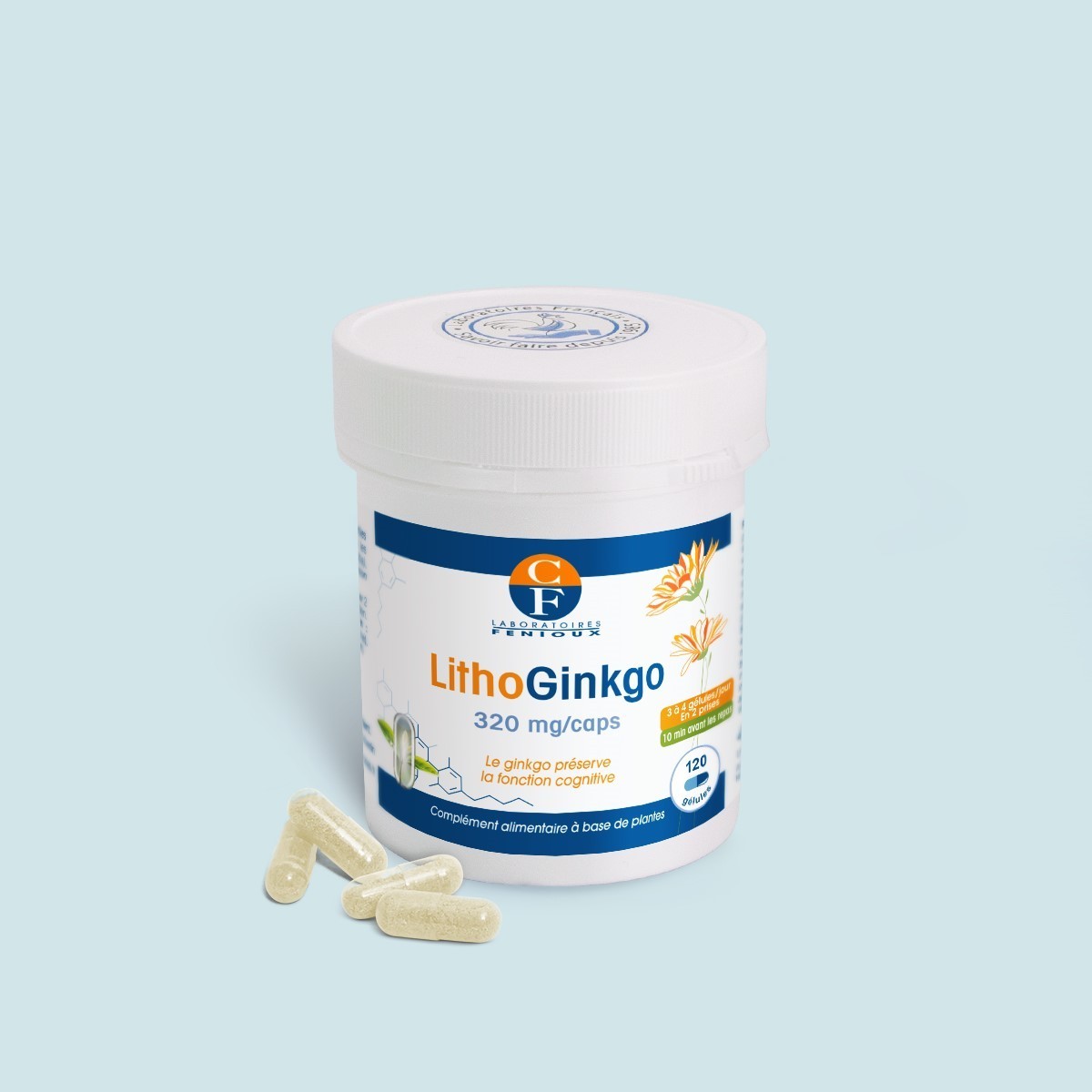 FENIOUX LITHOGINKGO 320mg