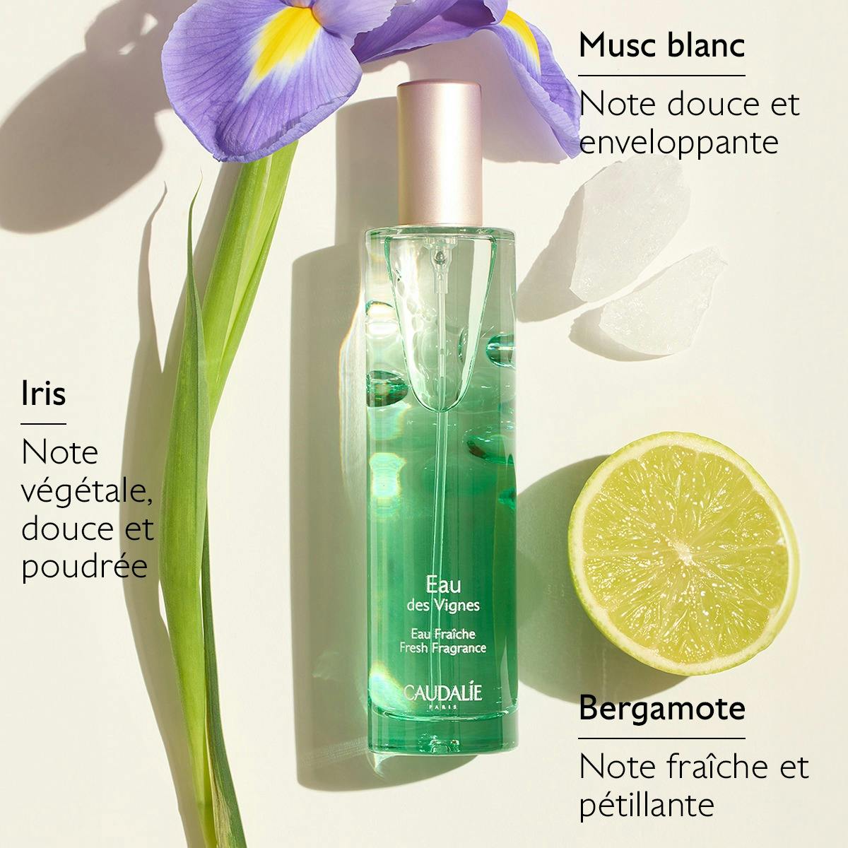 Eau Fraîche Eau des Vignes 50 mL