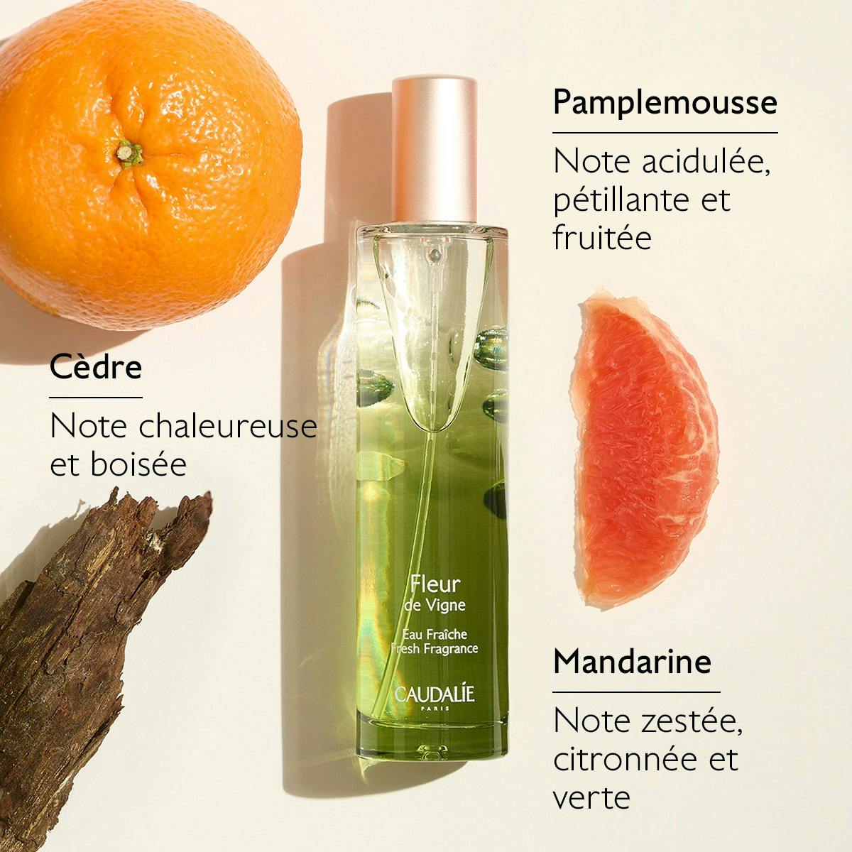 Eau Fraîche Fleur de Vigne 50 mL