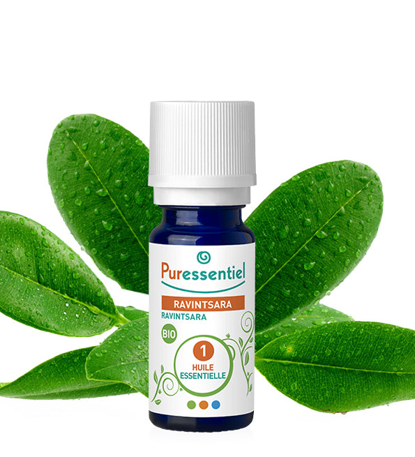 PURESSENTIEL HUILE ESSENTIELLE RAVINTSARA BIO 5ML