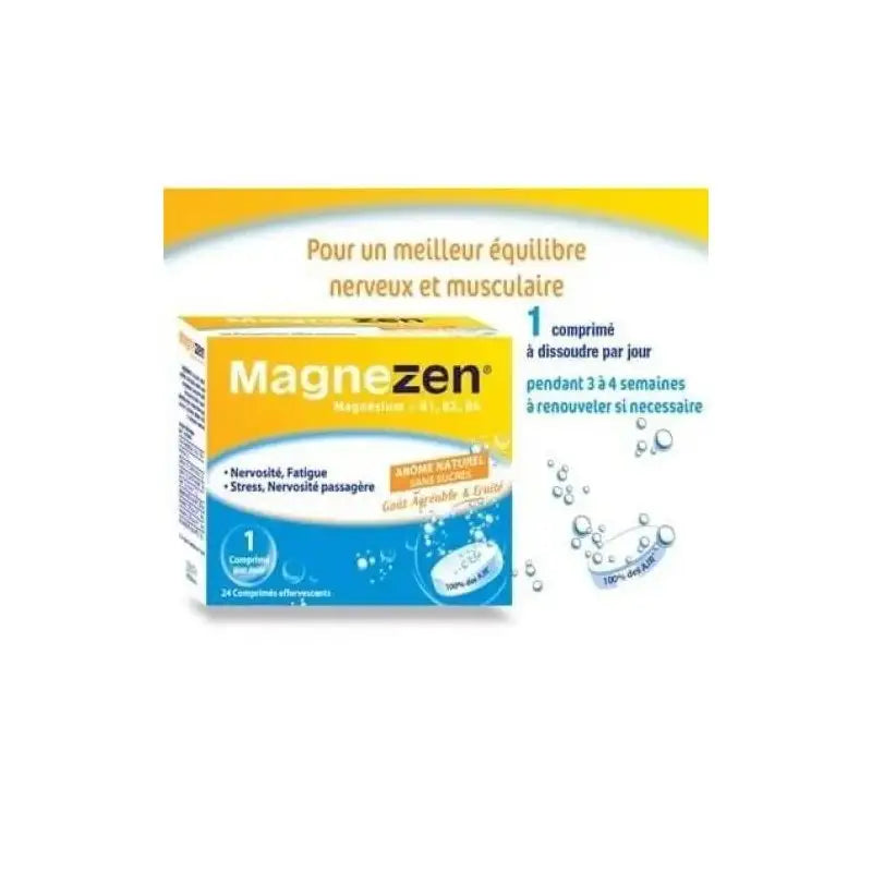 MAGNEZEN CO B24 COMP EFFER GM