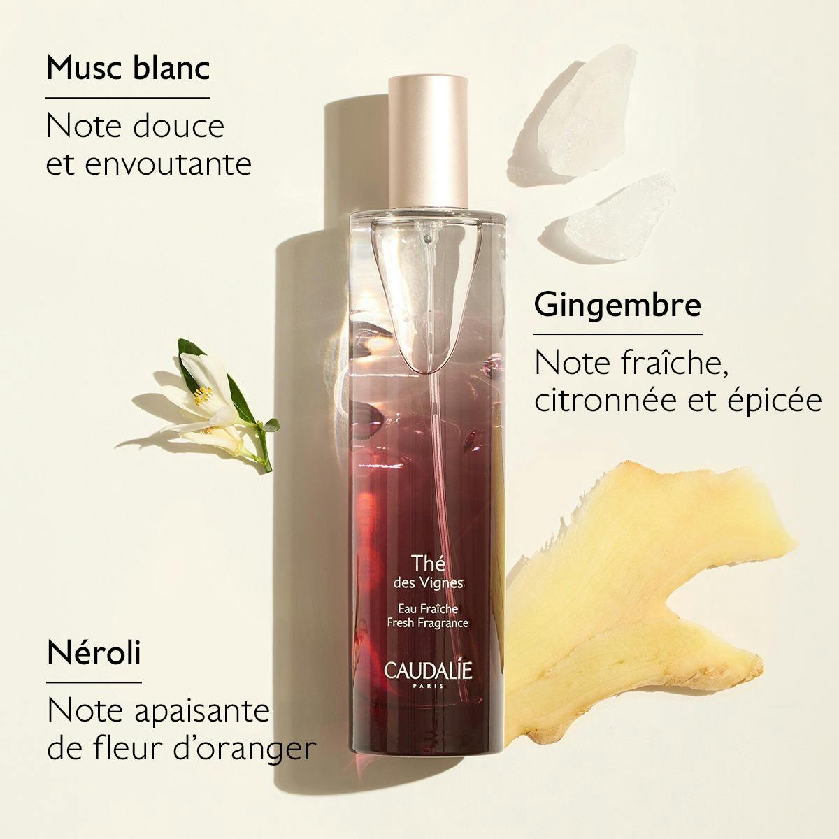 Eau Fraîche Thé des Vignes 50 mL
